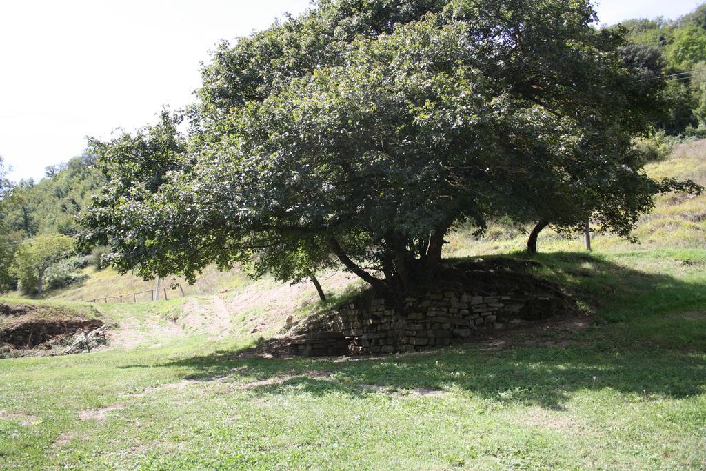 Locanda Di Alberi Borgo San Lorenzo Exterior foto